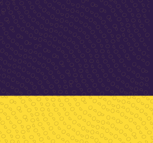 Starter Kit Extra: Blackberry Lemonade