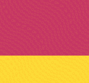 Add-on: Raspberry Lemonade