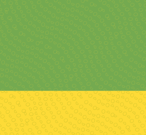 Add-on: Watermelon Lemonade